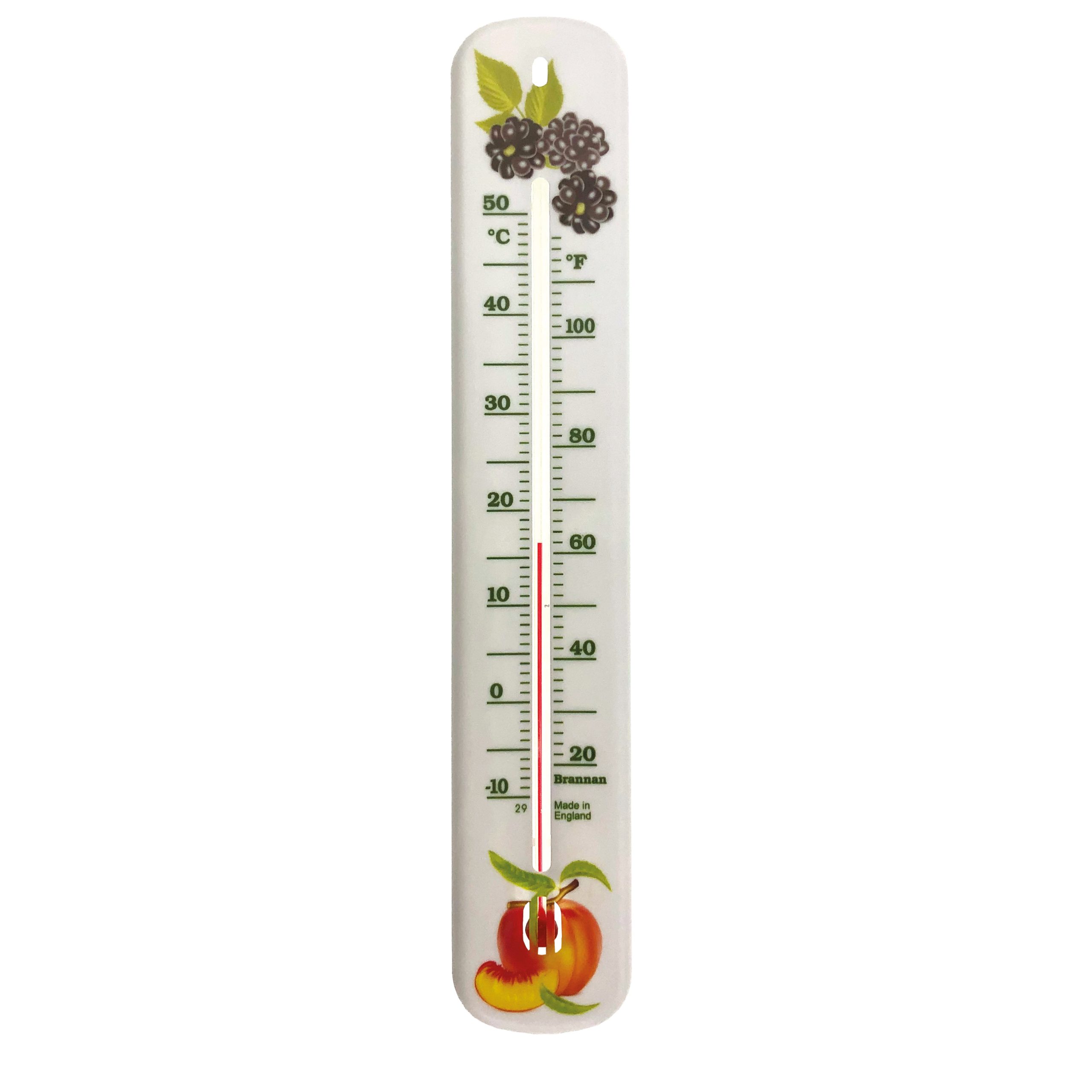 Decorative 215mm wall thermometer – wild fruit design